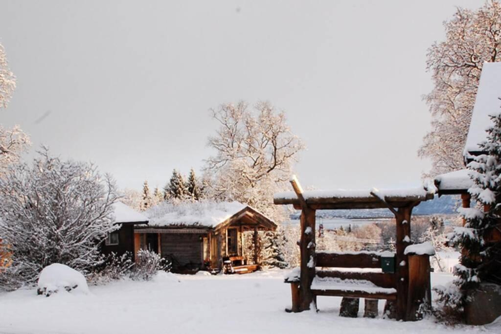 100 Years Old Norwegian Log House In Tromso Villa Екстериор снимка