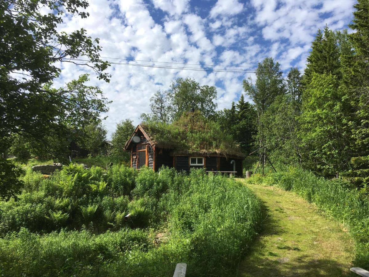 100 Years Old Norwegian Log House In Tromso Villa Екстериор снимка