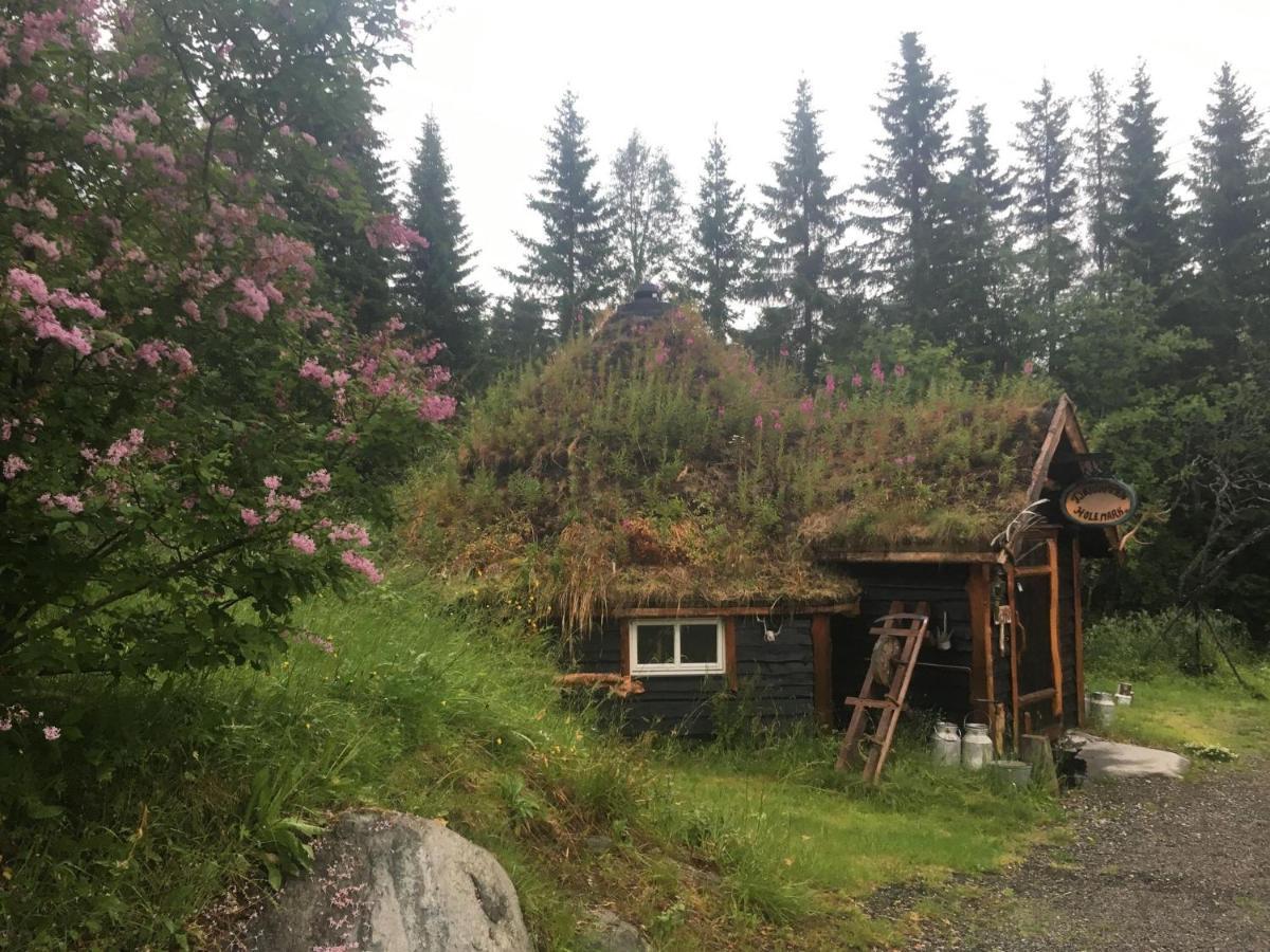 100 Years Old Norwegian Log House In Tromso Villa Екстериор снимка