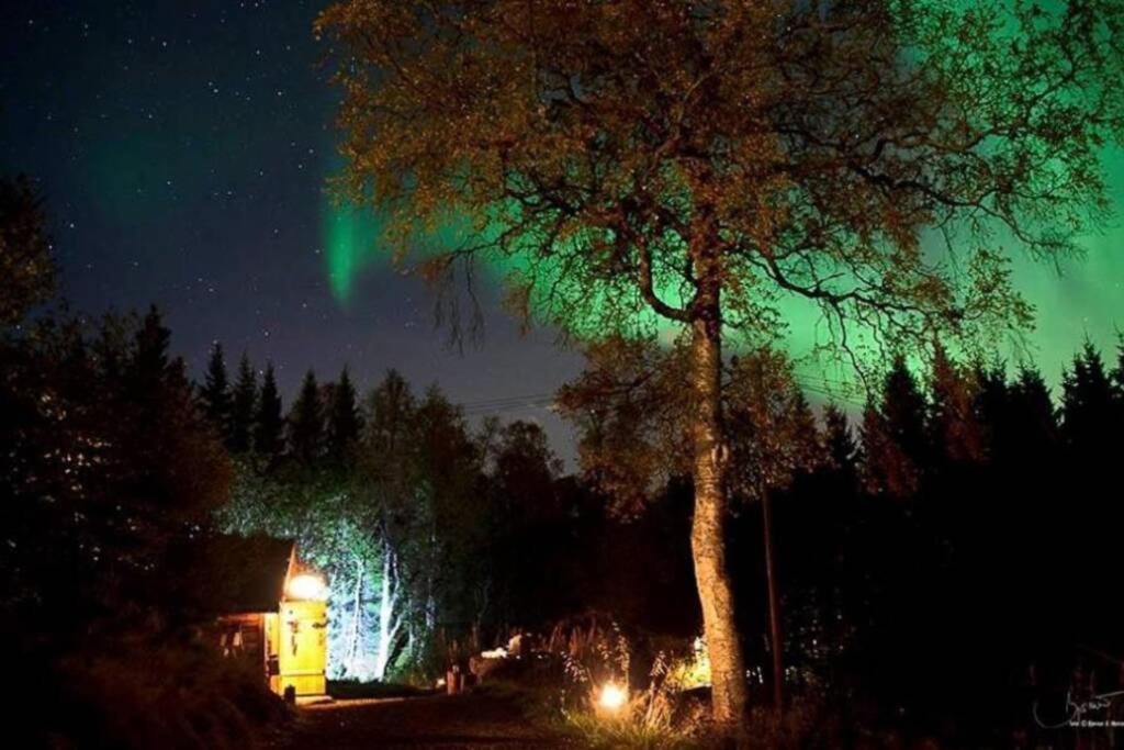 100 Years Old Norwegian Log House In Tromso Villa Екстериор снимка
