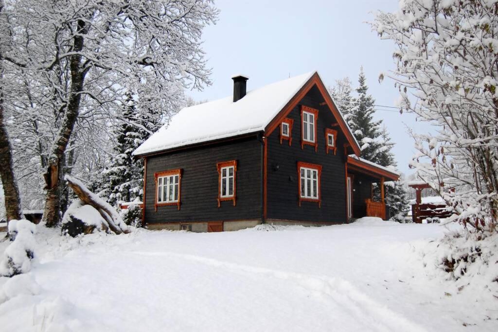 100 Years Old Norwegian Log House In Tromso Villa Екстериор снимка