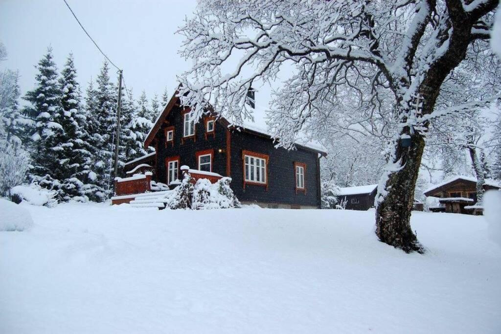 100 Years Old Norwegian Log House In Tromso Villa Екстериор снимка