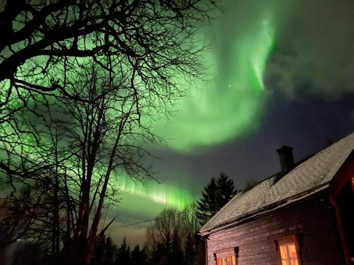 100 Years Old Norwegian Log House In Tromso Villa Екстериор снимка