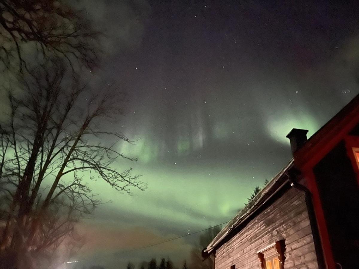 100 Years Old Norwegian Log House In Tromso Villa Екстериор снимка
